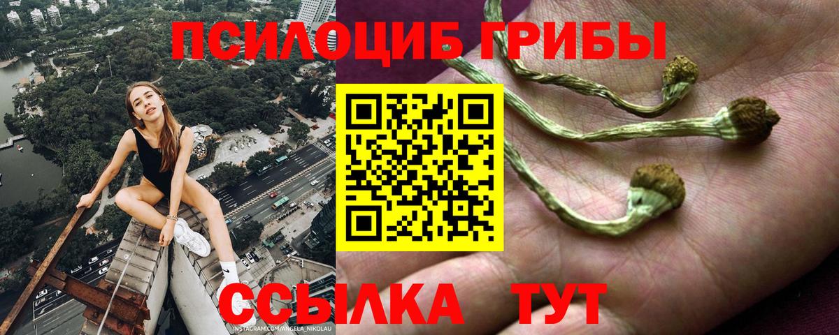 Галлюциногенные грибы MAGIC MUSHROOMS Волоколамск